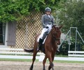 Finales de Dressage Non-licenciés Degré1 et Degré2