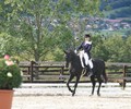 News du weekend: Dressage à La Chaumaz