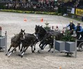 54e CHI-W de Genève : L’ ATTELAGE SUISSE EN FORCE AU CHI DE GENÈVE