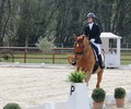 Classement Championnats Genevois de Dressage