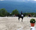 Classement Championnats Genevois de Dressage