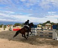 Photos Finales Genevoises de Saut R et Juniors et Jeunes Cavaliers