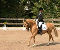 Dressage à Onex