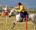 Championnats Suisses de Poney Mounted Games