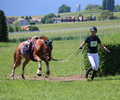 Trec a Satigny