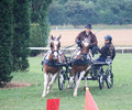 Concours d’attelage à satigny