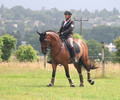 Premier concours d'Equitation de Travail à Genève