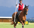 Concours d’Equitation de Travail aux Ecuries du Bison Blanc 