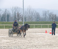 Stage de la FGE à Avenches