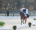 Entrainement de Dressage à Evordes