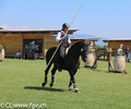 Concours d’Equitation de Travail aux Ecuries du Bison Blanc