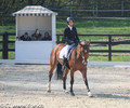 Concours de Dressage d'Evordes