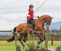 Equitation de travail aux Ecuries du Bison Blanc