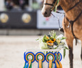 Championnats Suisses Poneys, Juniors et Jeunes Cavaliers au Châlet-à-Gobet