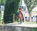 Championnats Suisse de TREC à Satigny